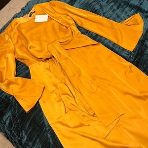 Never Been Worn Long Sleeve Gold Dresss